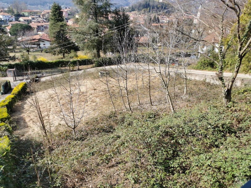 BESANO, DUE CASE INDIPENDENTI CON TERRENO-16