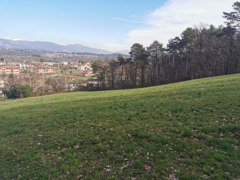 ARCISATE, TERRENO AGRICOLO-3