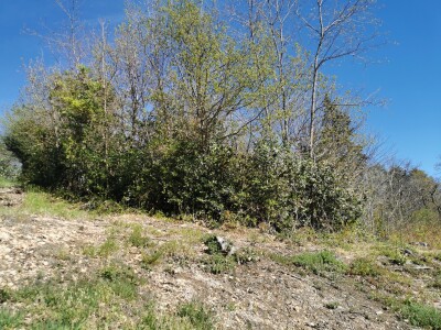 CUASSO AL MONTE, TERRENO EDIFICABILE PANORAMICO