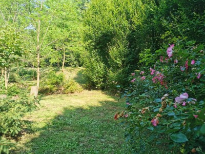 ARCISATE, VILLA BIFAMILIARE