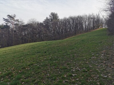 ARCISATE, TERRENO AGRICOLO