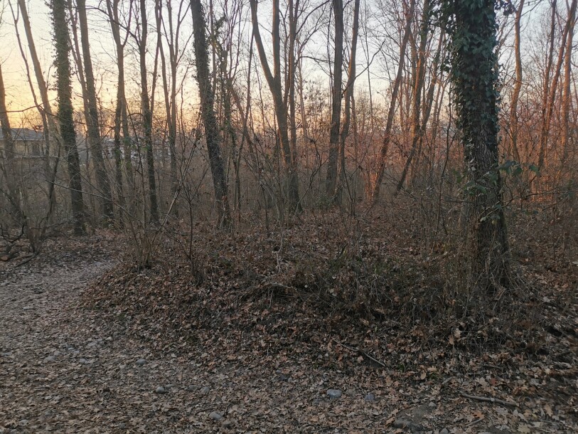 VARESE CAPOLAGO, BOSCO-9
