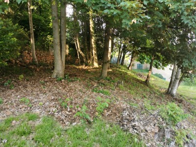 CUASSO AL MONTE, CAVAGNANO, TERRENO EDIFICABILE